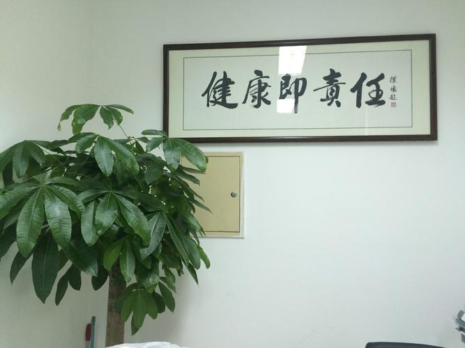 北京康源互动健康科技 技术服务铸就健康新篇章