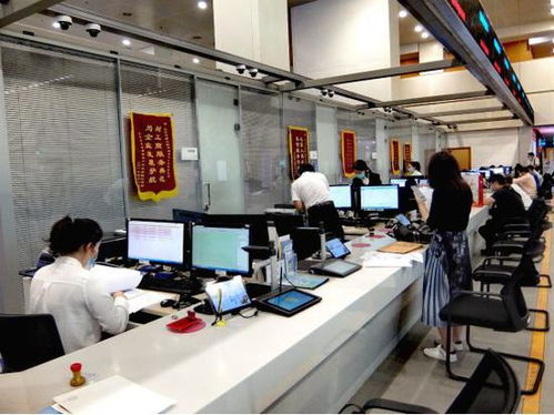 科技赋能，服务百姓——北京顺义区创新技术服务模式探秘